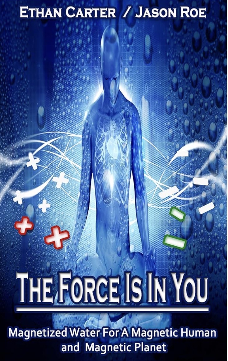 Book cover for The Force Is In You by Jason Roe